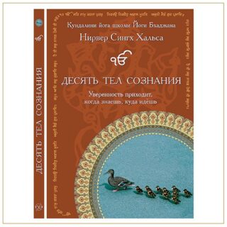 Десять тел сознания, Нирвер Сингх
