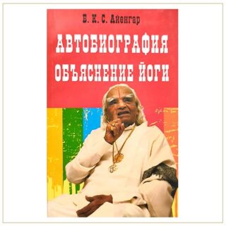 Автобиография, Айенгар